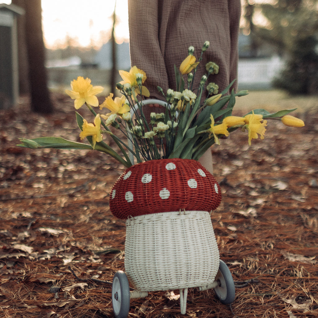 Rattan Mushroom Luggy - Red & White